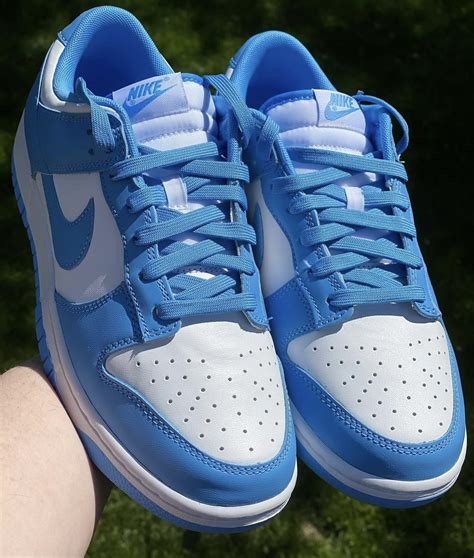 Nike dunks blue